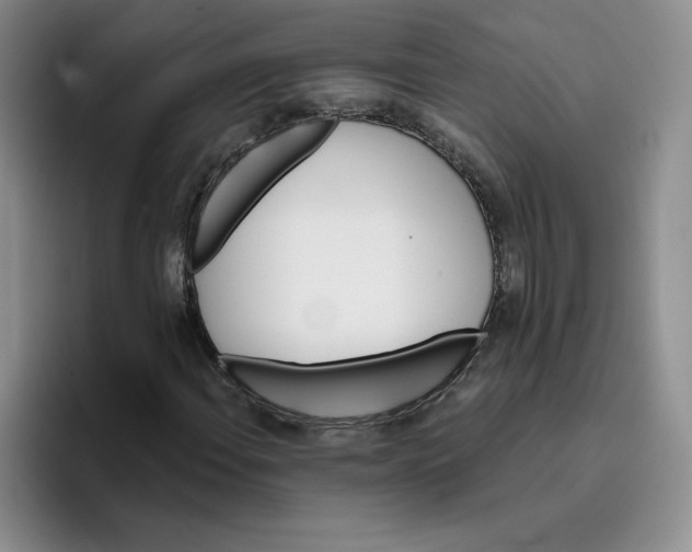 X0000096171108200802151429