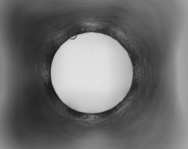 X0000096171109200802151429