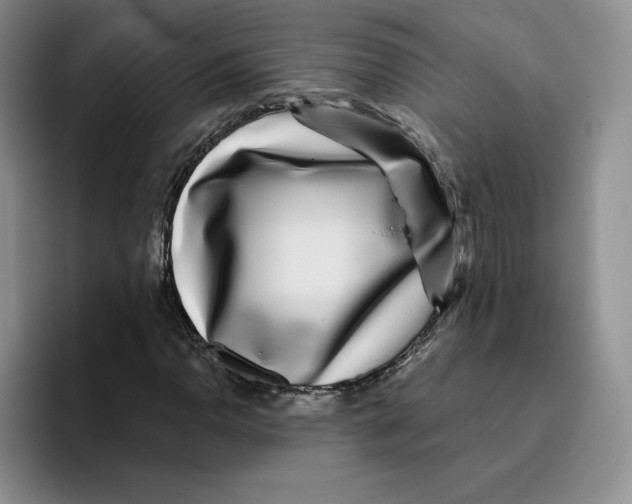 X0000096171110200802151429