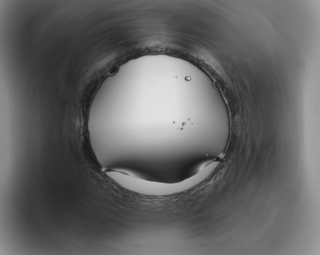 X0000096171111200802151429