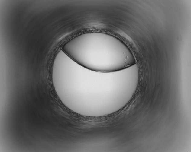 X0000096171112200802151429