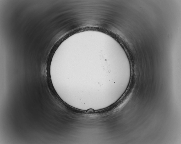 X0000096171113200802151429