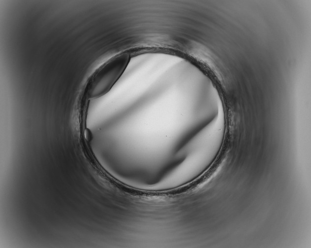 X0000096171114200802151429