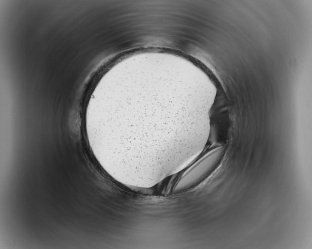 X0000096171115200802151429