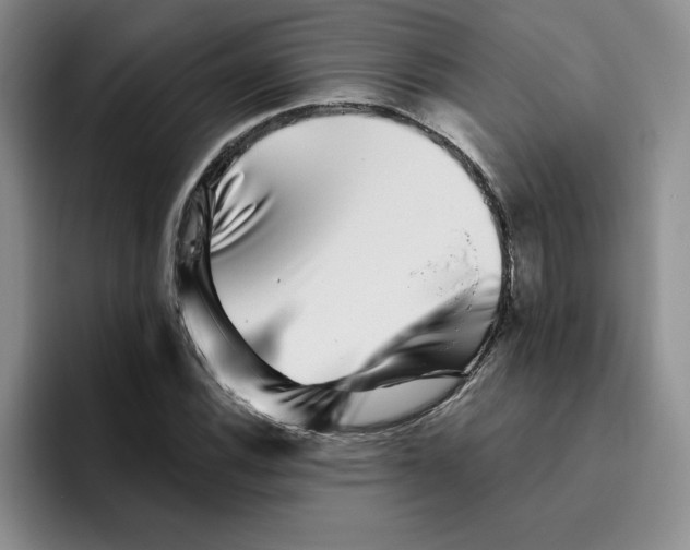 X0000096171116200802151429