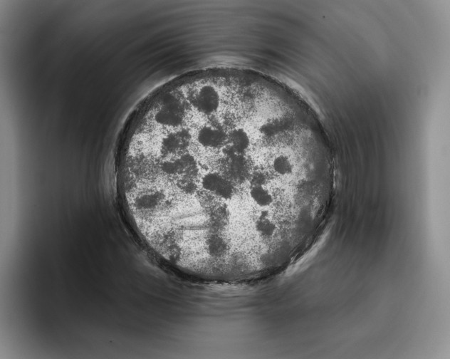 X0000096171117200802151429
