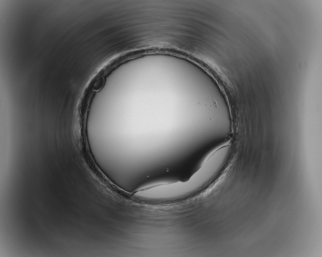 X0000096171118200802151429