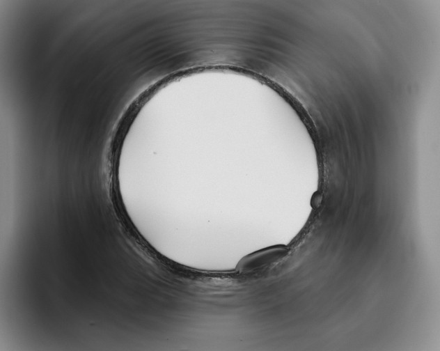 X0000096171119200802151429