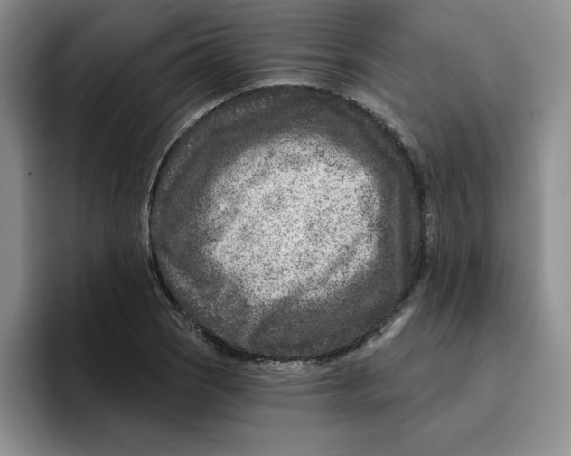 X0000096171121200802151429