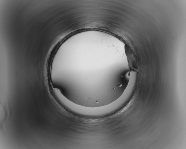 X0000096171122200802151429