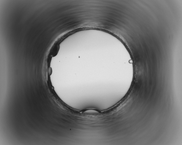 X0000096171123200802151429