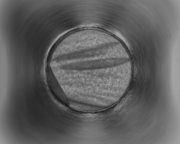 X0000096171124200802151429