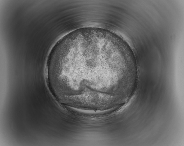 X0000096171125200802151429