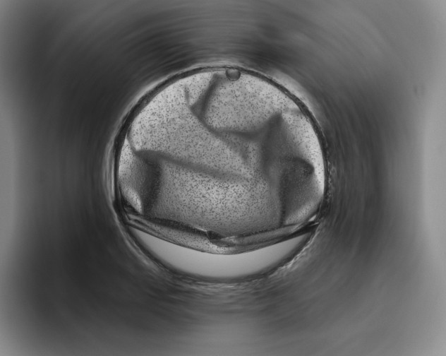 X0000096171127200802151429