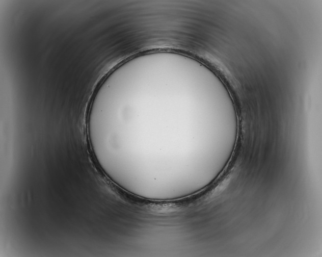 X0000096171129200802151429