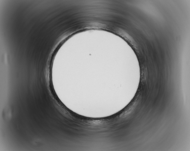 X0000096171130200802151429
