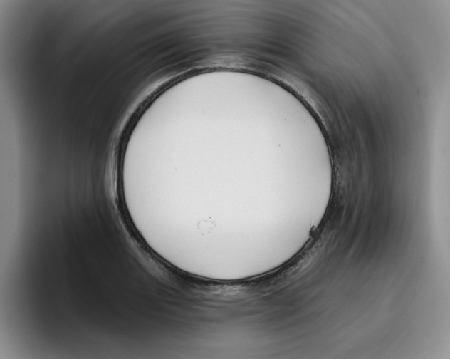 X0000096171131200802151429