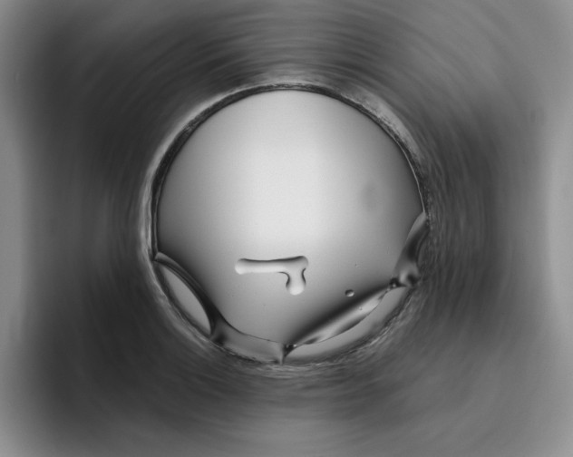 X0000096171132200802151429