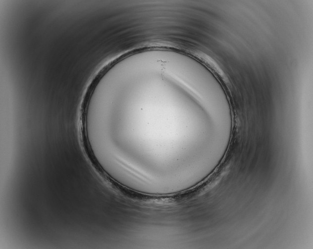 X0000096171133200802151429