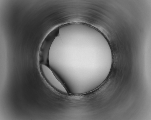 X0000096171134200802151429