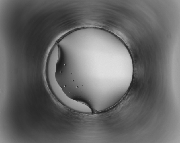 X0000096171136200802151429