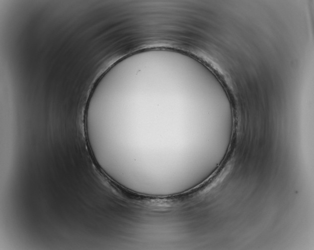 X0000096171137200802151429