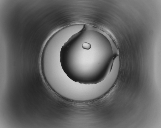 X0000096171138200802151429