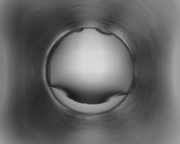 X0000096171139200802151429