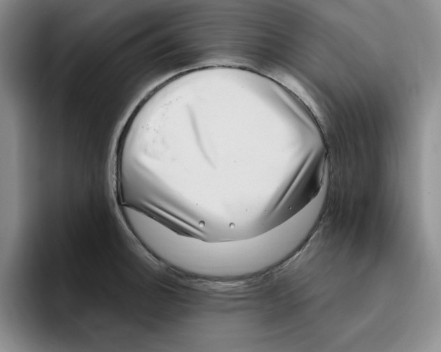 X0000096171140200802151429