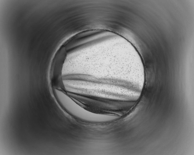 X0000096171141200802151429