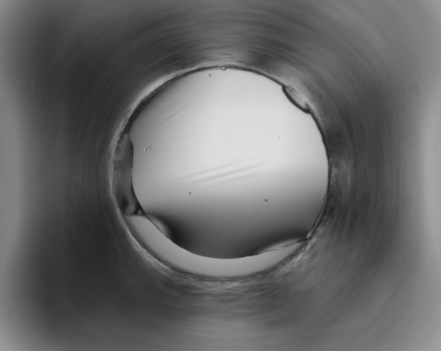 X0000096171143200802151429