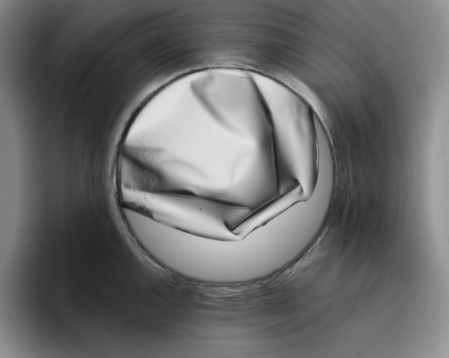 X0000096171144200802151429