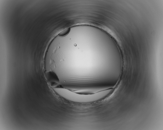X0000096171145200802151429