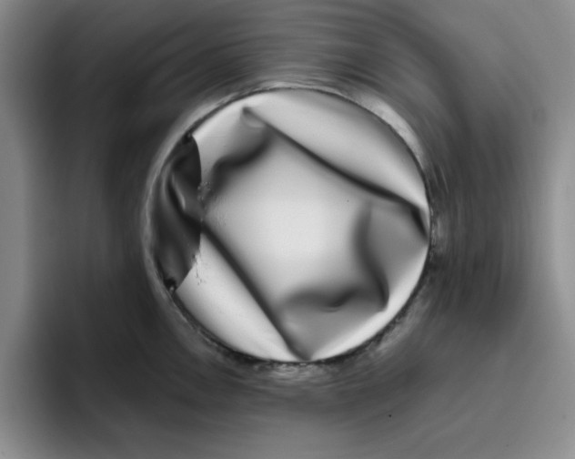 X0000096171146200802151429