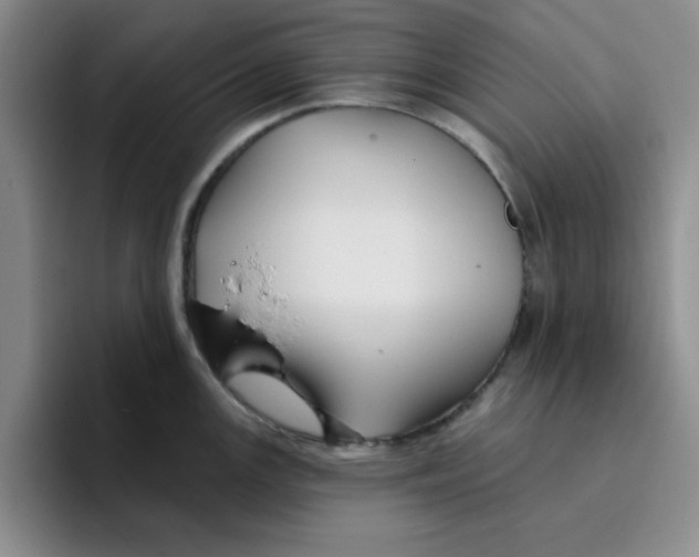 X0000096171147200802151429