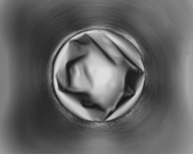 X0000096171148200802151429