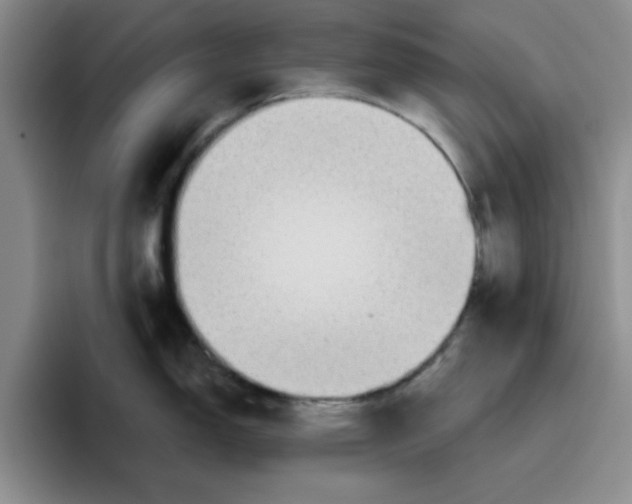 X0000096171150200802151430