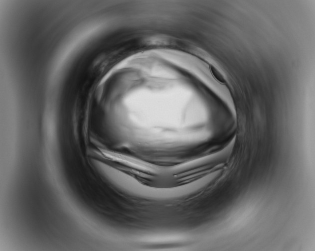 X0000096171151200802151430