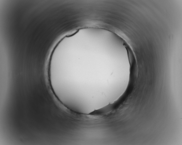 X0000096171152200802151430