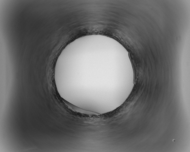 X0000096171153200802151429