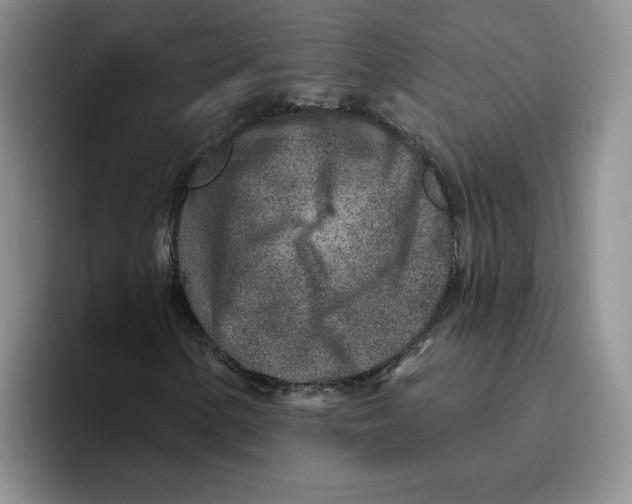 X0000096171154200802151429