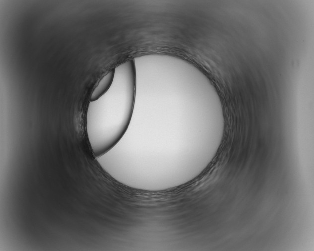 X0000096171156200802151429