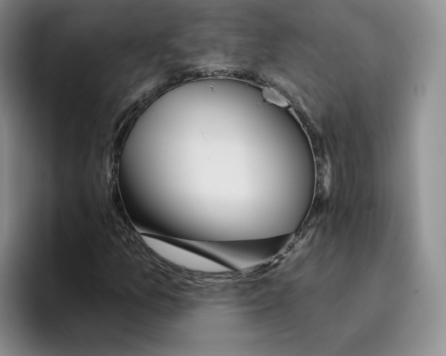 X0000096171157200802151429