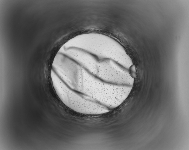 X0000096171158200802151429