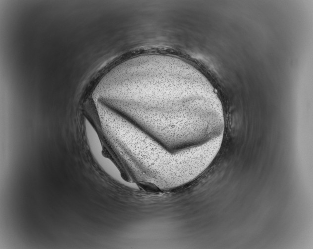 X0000096171159200802151429