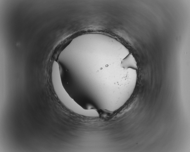 X0000096171160200802151429