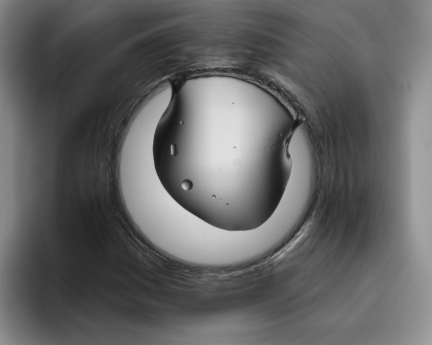 X0000096171161200802151429