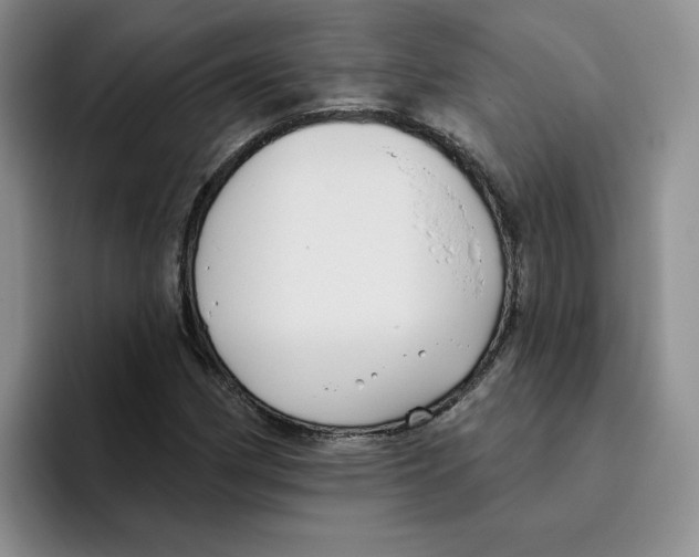 X0000096171162200802151429