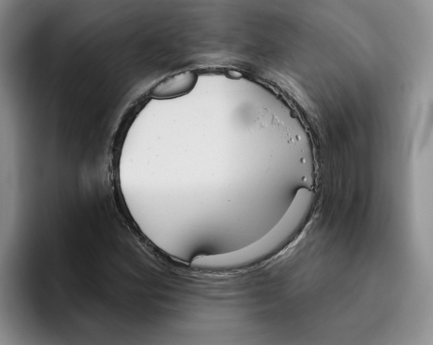 X0000096171164200802151429