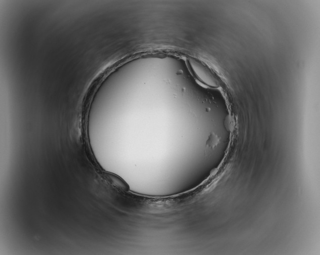 X0000096171165200802151429